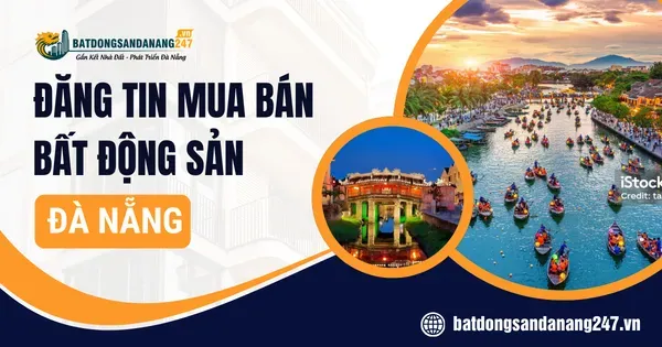 Khu Bá Tùng Có Được Quan Tâm Nhiều Không?