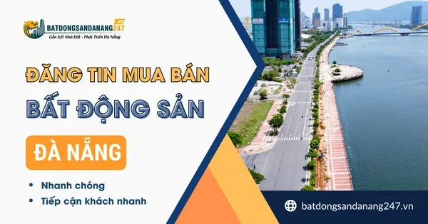 Vì Sao Nhiều Người Chọn Mua Nhà Tại Cẩm Lệ?