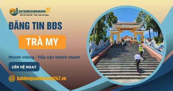 Giá Đất Trà My Hiện Nay Bao Nhiêu?