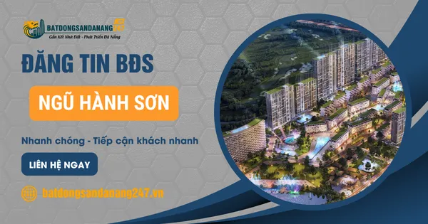 Hòa Quý Hay Hòa Xuân Phù Hợp Để Mua Ở Hơn?
