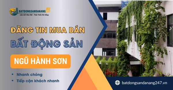 Khu FPT Hay Nam Hòa Xuân Được Tìm Nhiều?