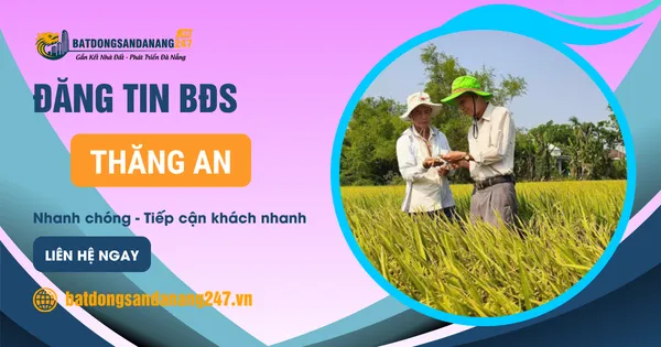 Mua Đất Xã Thăng An Để Đầu Tư Dài Hạn Không?