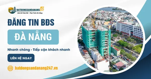Nhà Đất Nam Hòa Xuân Được Tìm Kiếm Nhiều Vì Điều Gì?