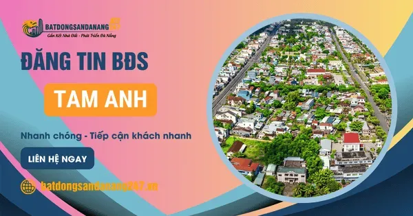 Tiềm Năng Phát Triển Của Tam Anh Đà Nẵng