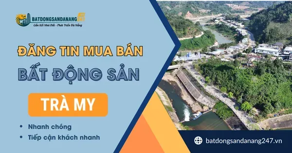 Tiềm Năng Phát Triển Của Trà My
