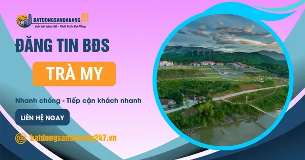 Trà My Có Gì Thay Đổi Trong Những Năm Nay?